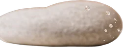 Light grey pebble, back left separated as its own transparent layer