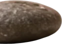 Dark brown pebble, left separated as its own transparent layer